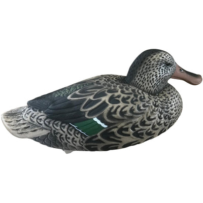 Shoveller Duck Decoy Floating HD Male or Female