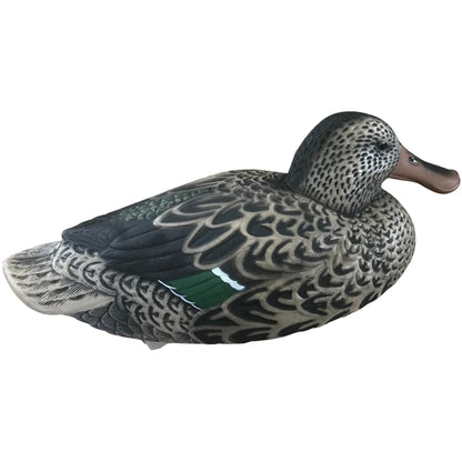 Shoveller Duck Decoy Floating HD Male or Female