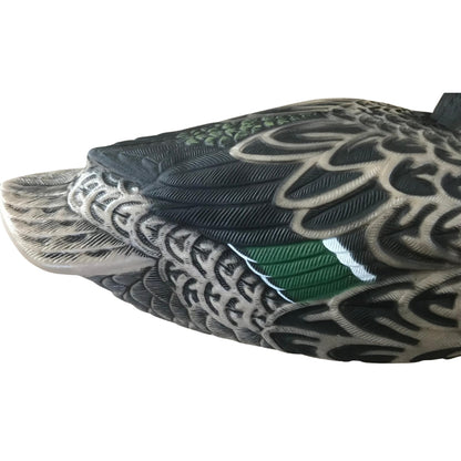 Shoveller Duck Decoy Floating HD Male or Female