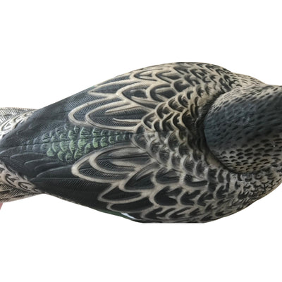 Shoveller Duck Decoy Floating HD Male or Female