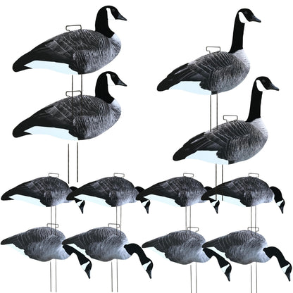 Silhouette Canada Goose Decoy Kit