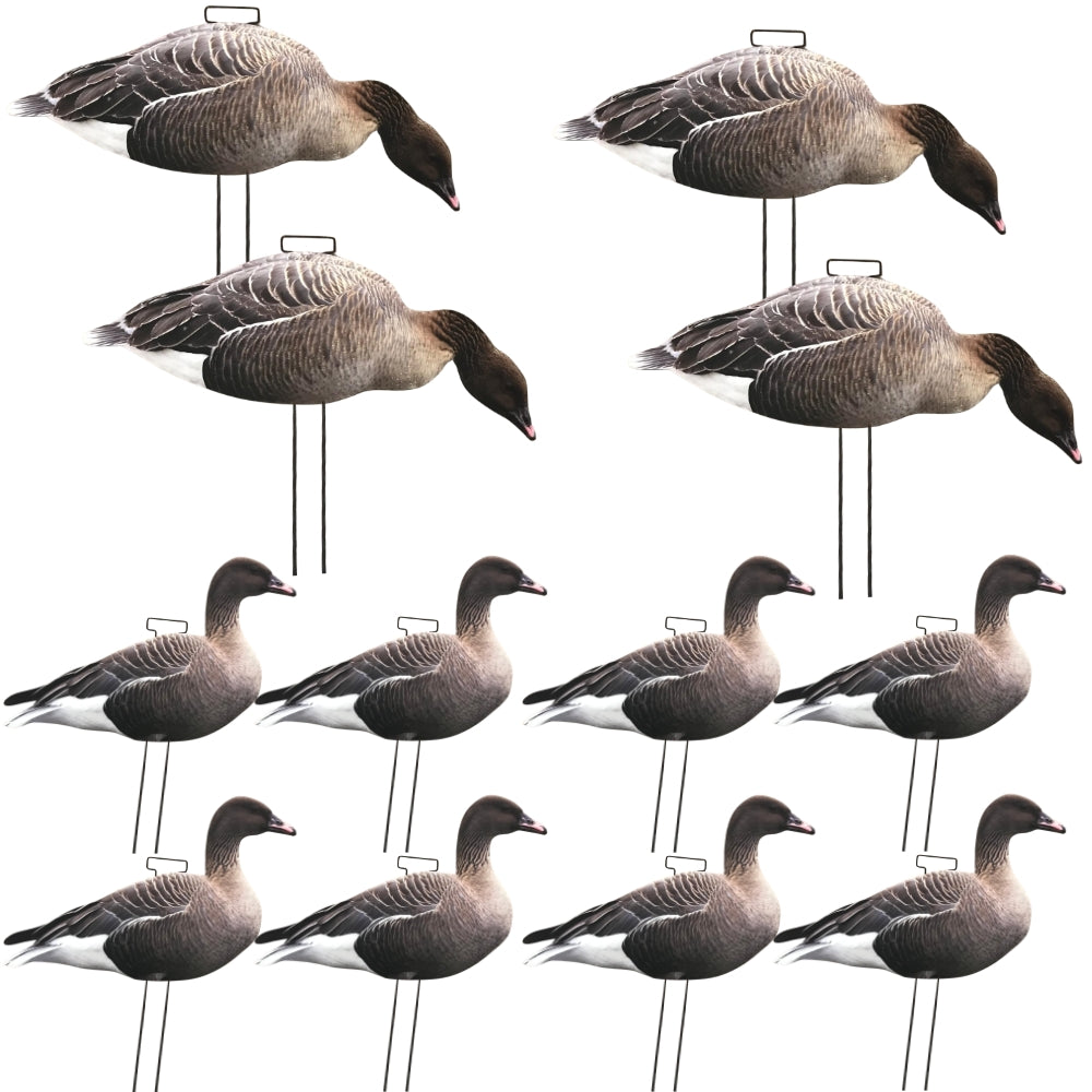 Silhouette Pinkfoot Goose Decoy Kit