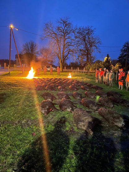 THE ULTIMATE LUXURY WILD BOAR HUNTING EXPERIENCE CROATIA