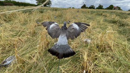 Floater Lander Glider Decoy Pole