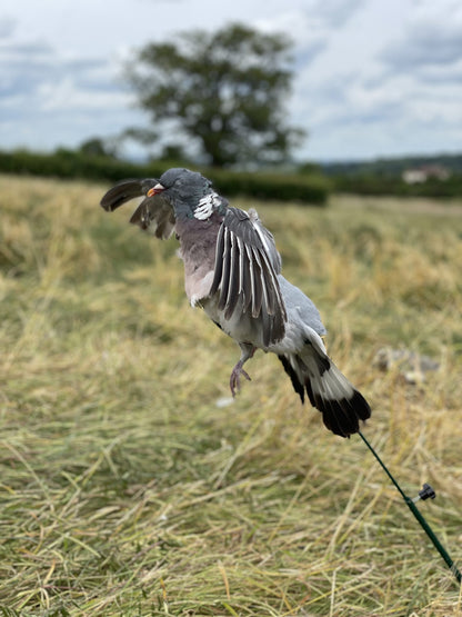 Floater Lander Glider Decoy Pole