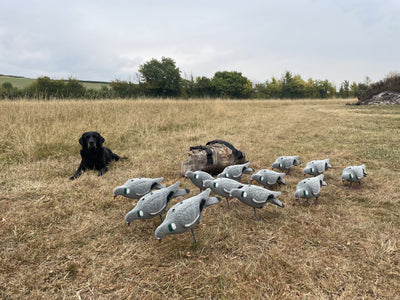 DECOY NET BAG