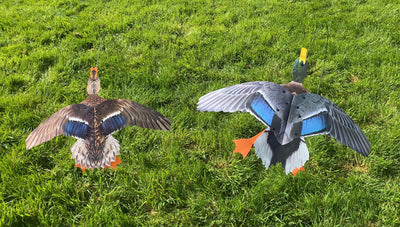 Flying Mallard Decoy Pair – Drake and Duck Motion Deceivers with Spring Wire and Ground Spike