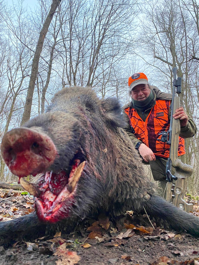 HUNGARY HUNTING TRIP WILD BOAR Dates by Arrangement 6 Outings