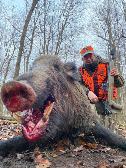 HUNGARY HUNTING TRIP WILD BOAR Dates by Arrangement 6 Outings