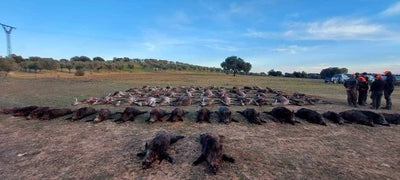 SPANISH MONTERIA October 29th-31st 2026