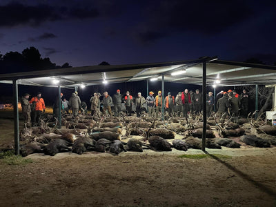 SPANISH MONTERIA October 29th-31st 2026