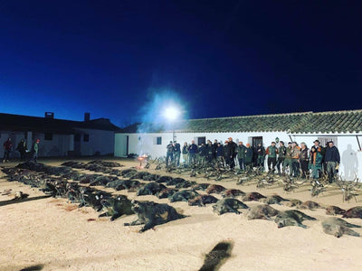 SPANISH MONTERIA October 29th-31st 2026