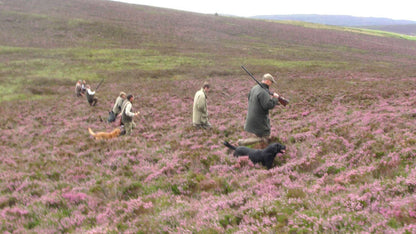 ROUGH SHOOTING SYNDICATE