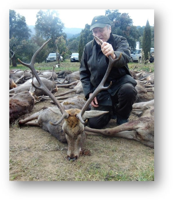 Spanish Monteria Red Stag November 2020