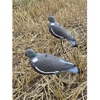 Two  A1 Decoy HD pigeon decoys on stubble