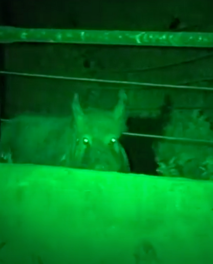 LED GREEN HANDHELD AND SCOPE MOUNTED LAMP