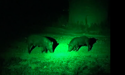 LED GREEN HANDHELD AND SCOPE MOUNTED LAMP