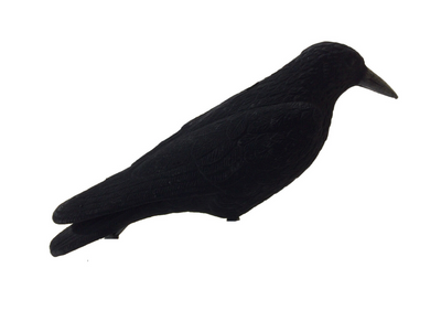 Mini Magnet - Including 3 Crow Decoys