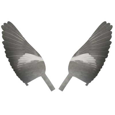 Pro Flap Decoy Replacement wings