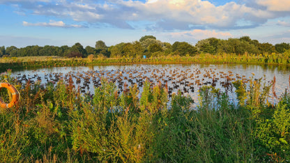 250 Duck Day with Full Hospitality September 27th 2025 Yorkshire East Bransburton