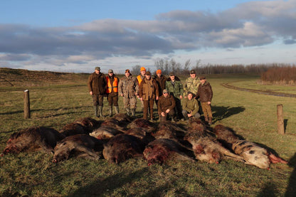 2 Day Hunting Trip Serbia Wild Boar, Jackal & Fox Hunt