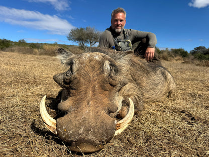 Africa Cull Hunt South Africa Port Elizabeth