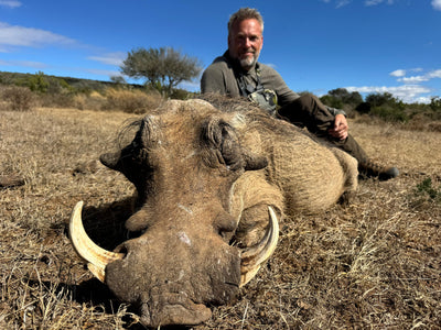 Africa Cull Hunt South Africa Port Elizabeth