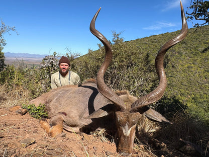 Africa Cull Hunt South Africa Port Elizabeth