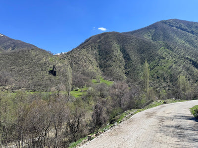 Driven Wild Boar Hunting in Turkey / Turkiye November 2026 NEW AREA THE HIDDEN VALLEY