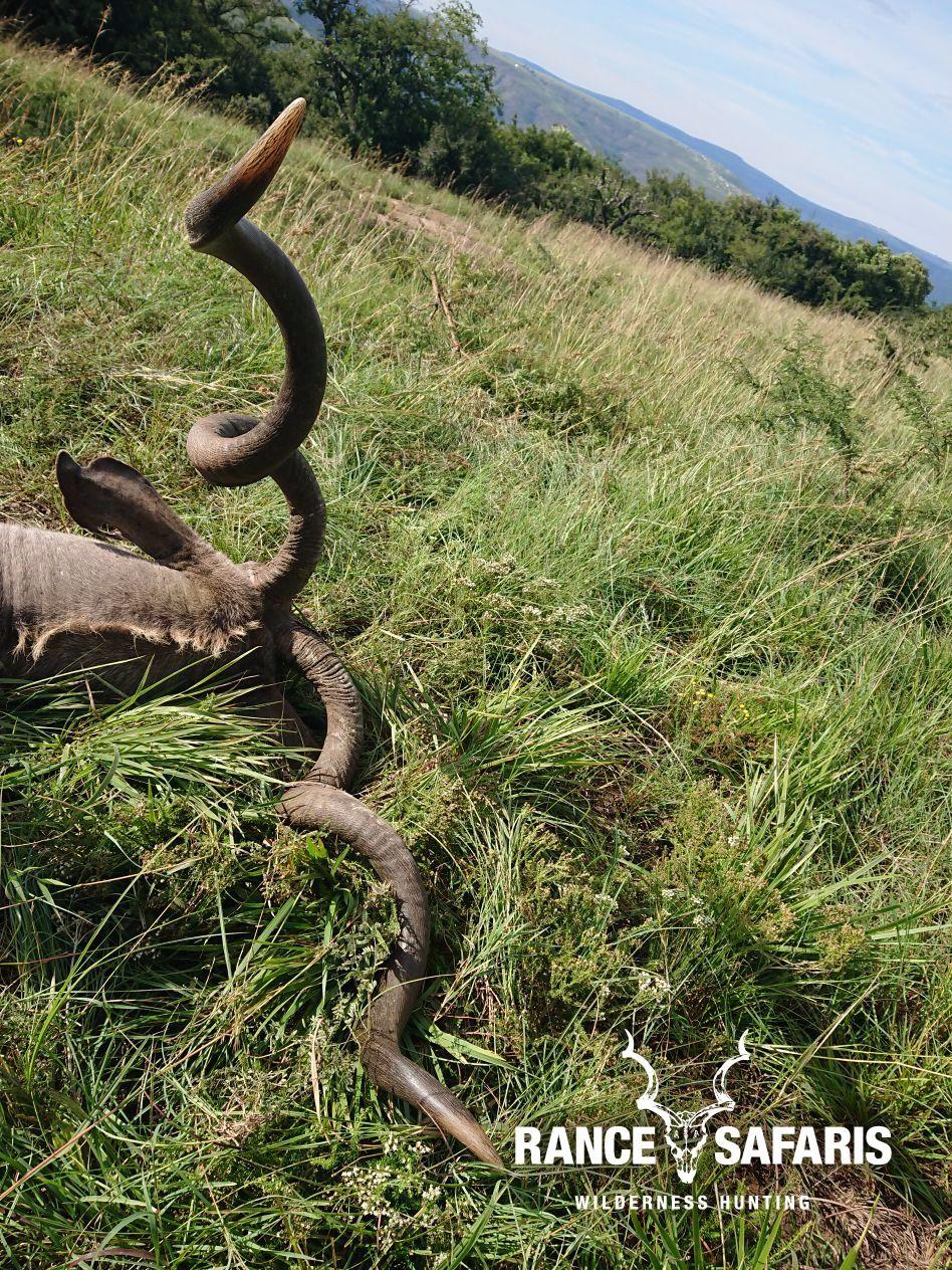 A1 DECOY LTD hunting trip with Rance Safaris on the Kei River Reserve, featuring hunters and wildlife animals in the scenic reserve.