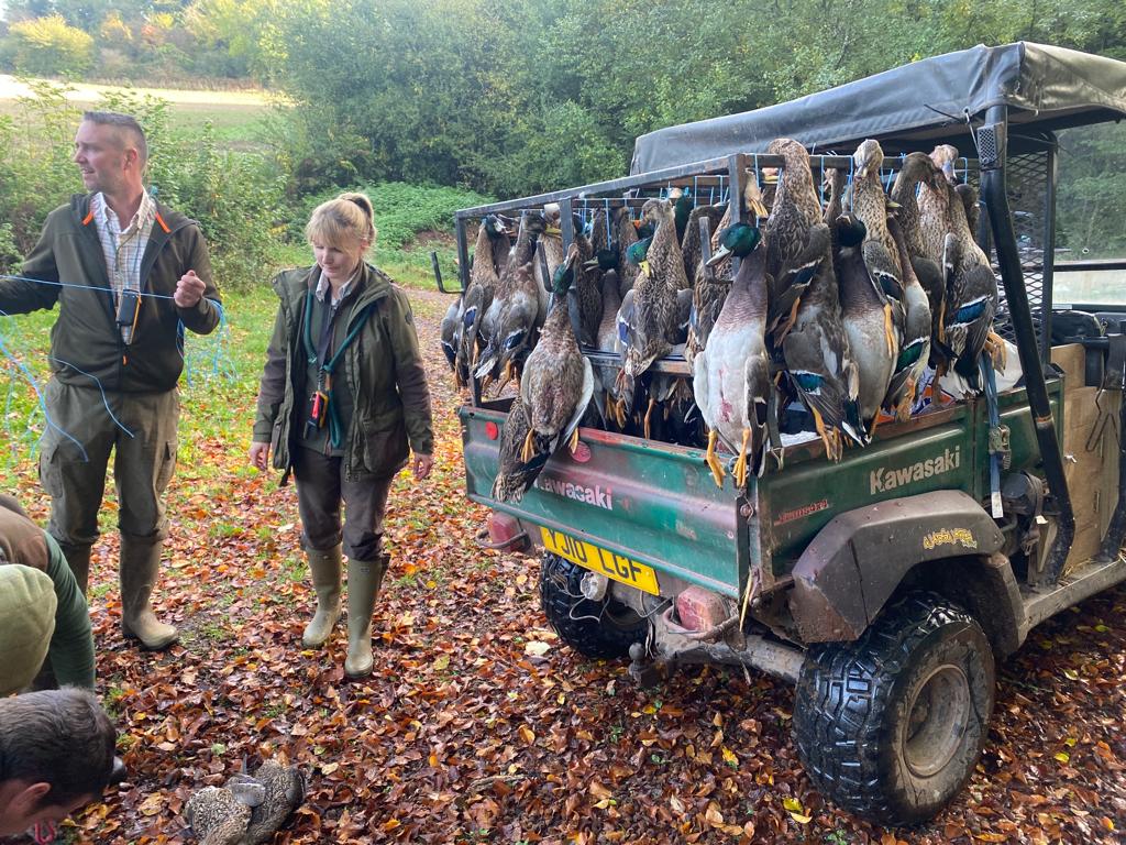 A1 Decoy Ltd 200-250 bird duck decoys for hunting, displayed outdoors near Radstock, Bath, ready for January 2nd, 2027.