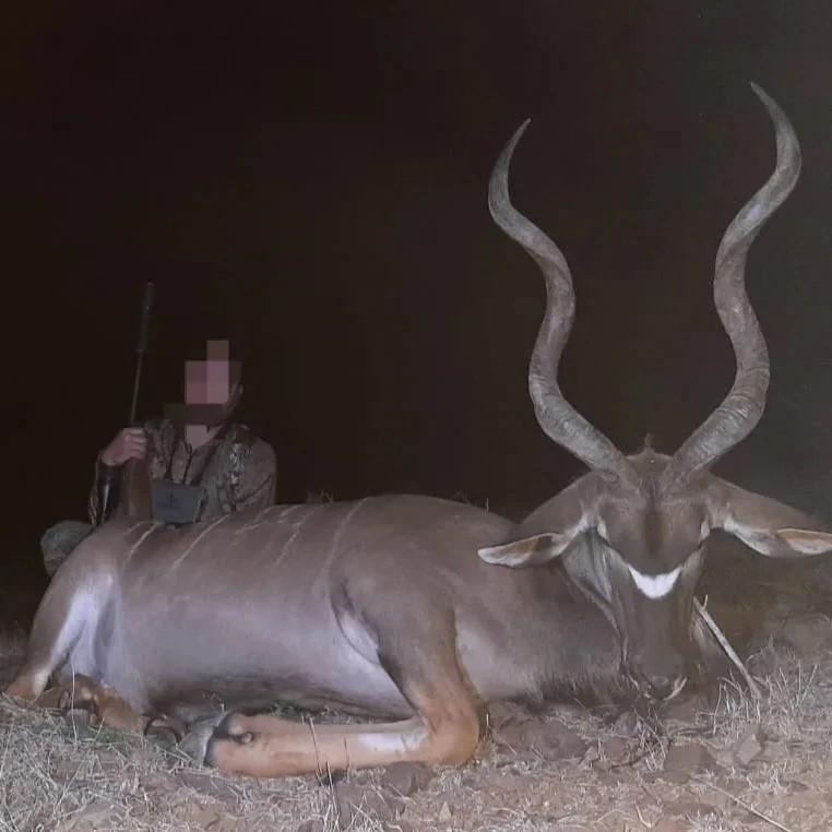 A1 DECOY LTD Africa Cull Hunt South Africa port Elizabeth wildlife hunting scene with game animals and hunting equipment