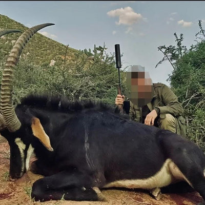 Decoy model representing Africa Cull Hunt South Africa in Port Elizabeth by A1 DECOY LTD
