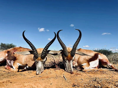 A1 DECOY LTD Africa Cull Hunt South Africa Port Elizabeth wildlife hunting decoy set on natural terrain