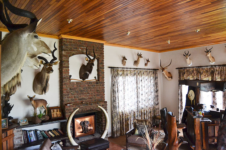Decoy image for Africa Cull Hunt South Africa in Port Elizabeth by A1 DECOY LTD showing wildlife decoy setup