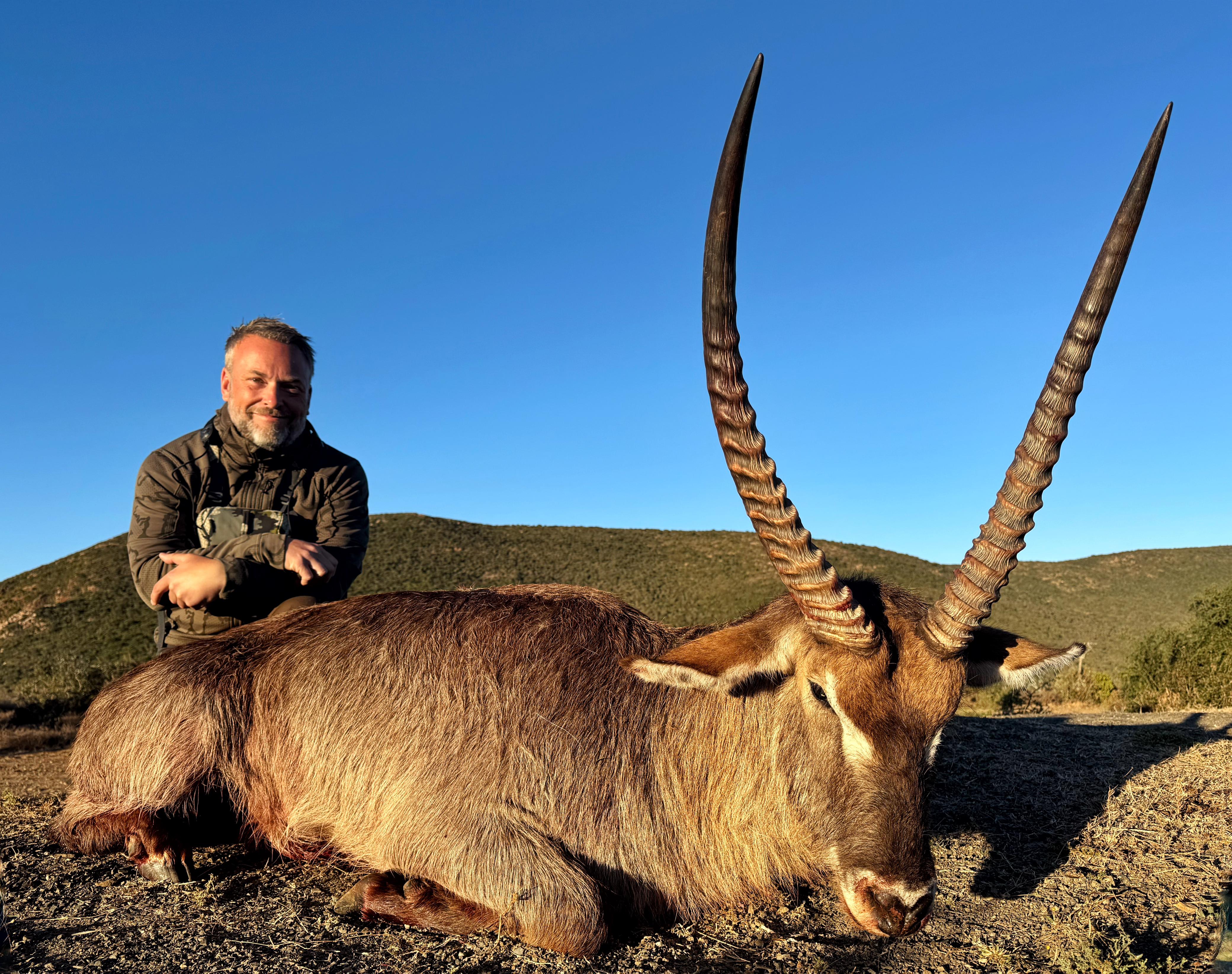 A1 DECOY LTD Africa Cull Hunt South Africa Port Elizabeth wildlife decoy for hunting or display purposes
