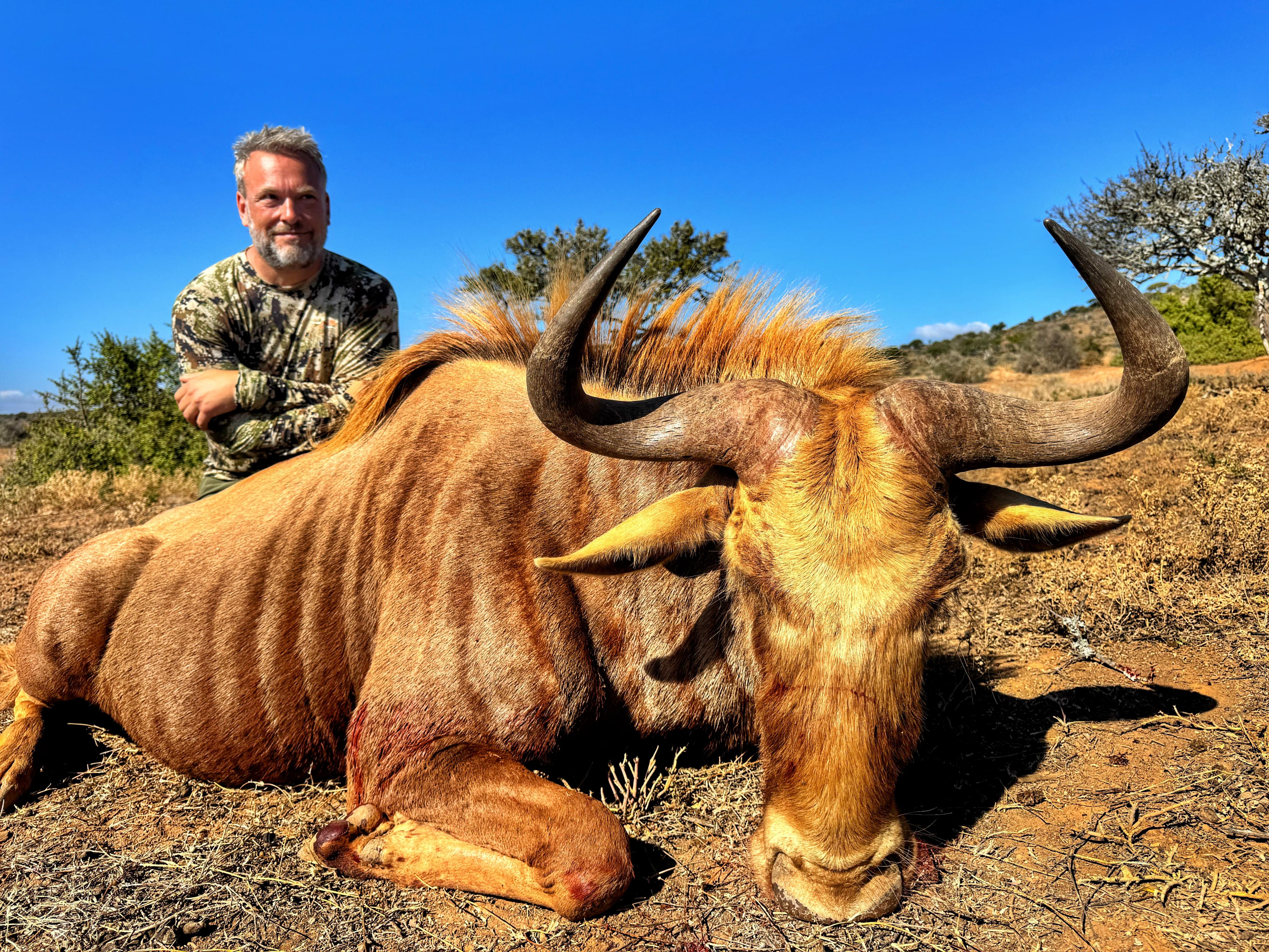 Decoy image showing Africa Cull Hunt South Africa port scene with wildlife and landscape, by A1 DECOY LTD.