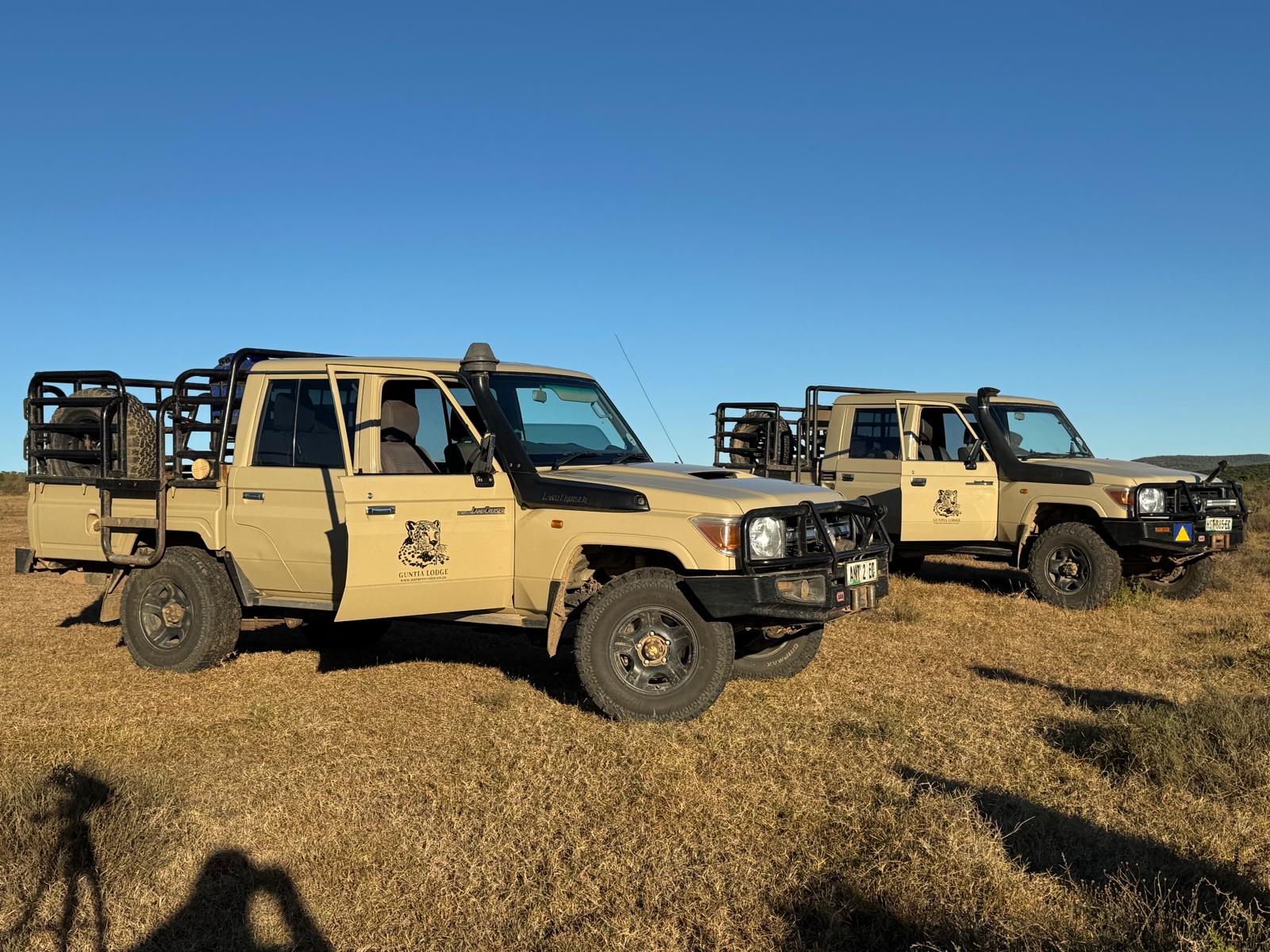 A1 DECOY LTD Africa Cull Hunt South Africa Port Elizabeth wildlife hunting scene with animals and hunting gear.