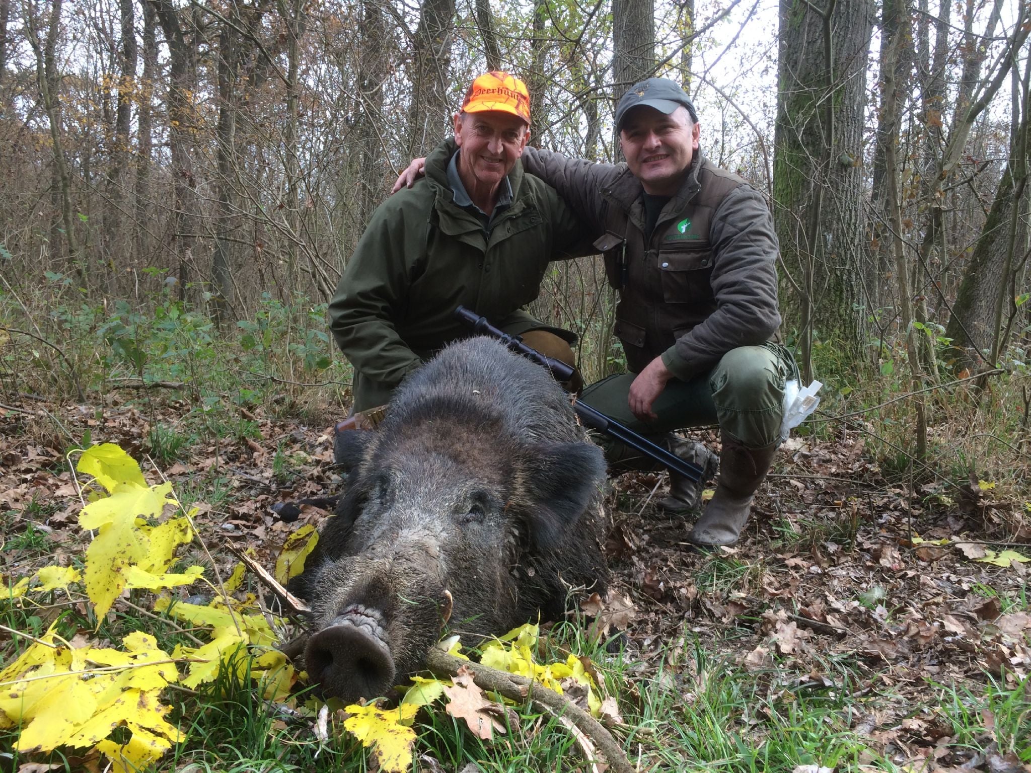A1 Decoy Ltd wild boar decoy for Serbia hunting trips, realistic design for hunting enthusiasts, available 2026 season