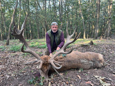 Red stag from A1 Deco Ltd Hungary hunting trip in September/October, showcasing a majestic red stag in natural outdoor setting.