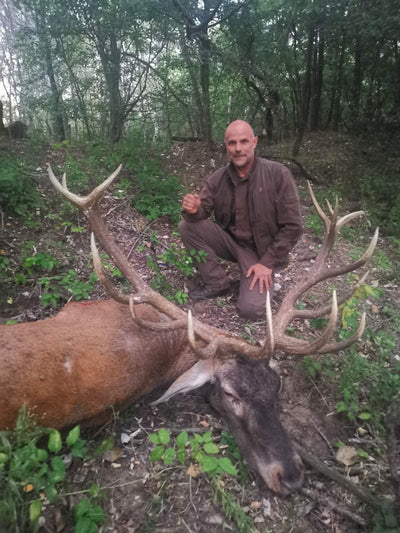 A red stag from the Hungary hunting trip, featuring a large antlered deer in a natural outdoor setting, by A1 Deco Ltd.