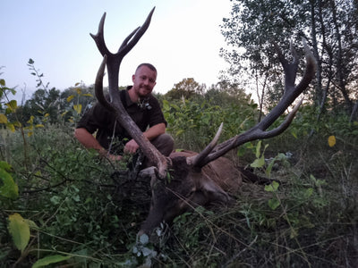 Red stag decoy for Hungary hunting trip by A1 Decoy Ltd, featuring realistic detail for September and October hunting seasons.