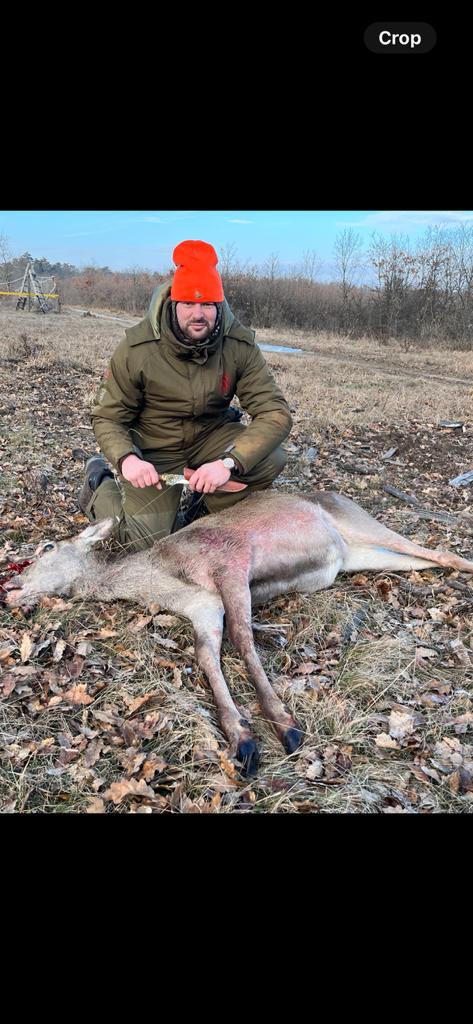 A red stag during Hungary hunting trip in September or October, depicted in a natural outdoor setting.
