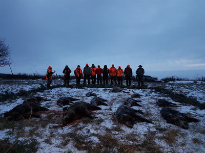 A1 DECOY LTD Hungary hunting trip with wild boar and jackal hunting scene featuring hunting gear and natural outdoor setting.