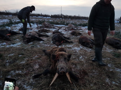A1 DECOY LTD Hungary hunting trip with realistic wild boar and jackal decoys for hunting enthusiasts.