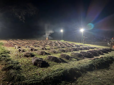 Wild boar hunting trip in Hungary with A1 Decoy Ltd, featuring hunting gear and scenic outdoor landscape from the Kaszó region.