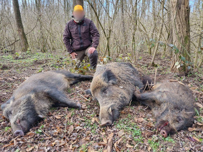 Hunting trip poster for Hungary wild boar Kaszo event by A1 Decoy Ltd, scheduled for January 21-23, 2026.