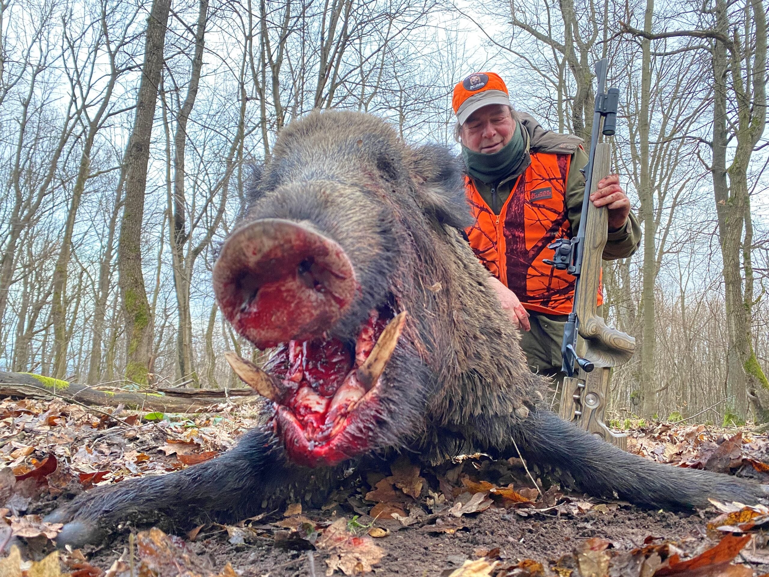 Wild boar hunting trip in Hungary with A1 Decoy Ltd, showcasing hunting gear and scenic outdoor landscape.