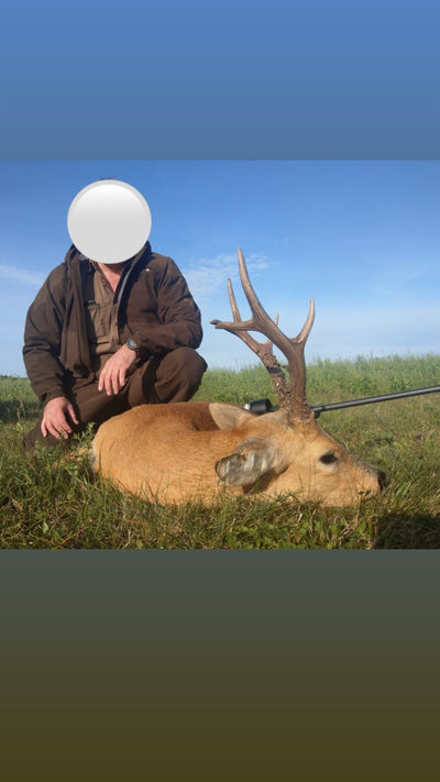Siberian Roe Deer decoy by A1 DECOY LTD, showing realistic details for wildlife hunting or display.