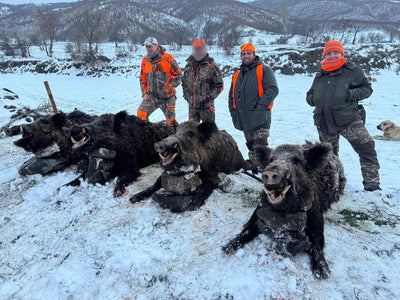 A1 DECOY LTD driven wild boar hunting in Turkey, showing hunters and wild boars in a forest setting during a hunting expedition.